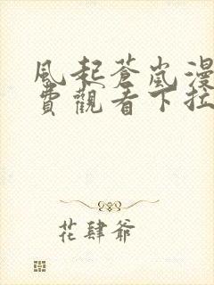 风起苍岚漫画免费观看下拉式六漫画