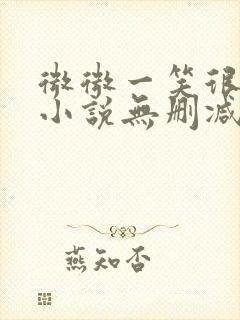 微微一笑很倾城小说无删减版