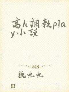 高h调教play小说封面