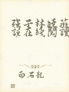 强子林晓薇的小说在线阅读全文无弹窗