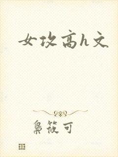 女攻高h文封面