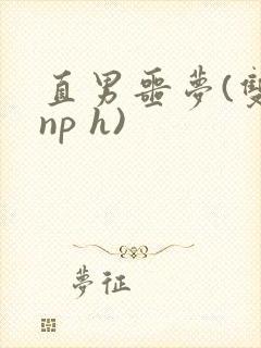 直男噩梦(双性np h)