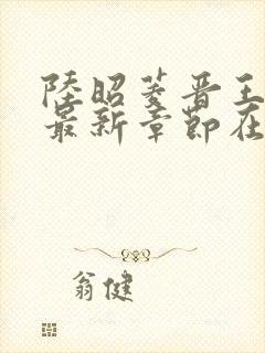 陆昭菱晋王小说最新章节在线阅读封面