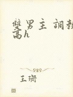 双男主 调教 高h