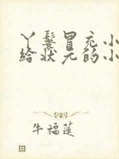 丫鬟冒充小姐嫁给状元的小说