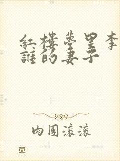 红楼梦里李纨是谁的妻子