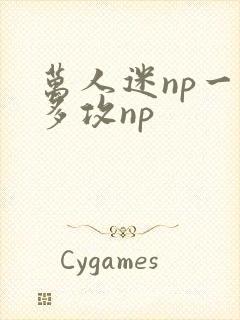 万人迷np一受多攻np