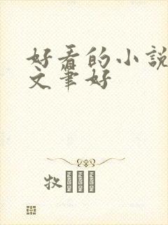 好看的小说言情文笔好