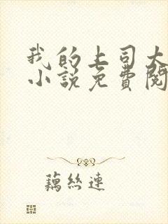 我的上司太迷人小说免费阅读封面