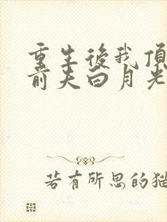 重生后我顶替了前夫白月光短剧