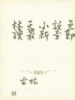 林天小说免费阅读最新章节封面