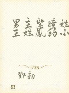 男主紫瞳姓夜女主姓凤的小说