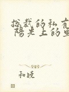 总裁的私有宝贝 阳光上的鱼