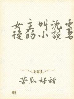 女主叫沈云舒废后的小说名字封面