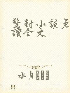 惊封小说免费阅读全文