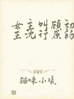 女主叫顾初蕾男主沈行原的小说封面