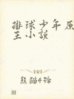 排球少年原创男主小说