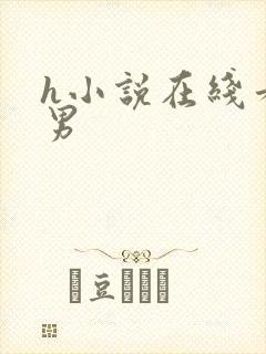 h小说在线看男男