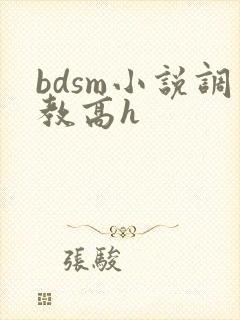 bdsm小说调教高h