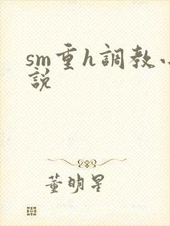 sm重h调教小说