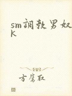 sm调教男奴vk