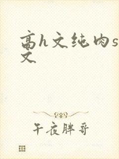 高h文纯肉sm文