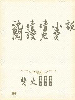 沈晴晴小说在线阅读免费