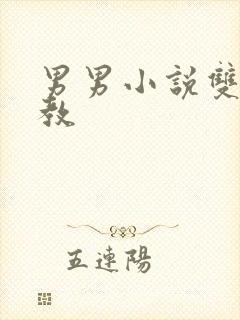 男男小说双性调教