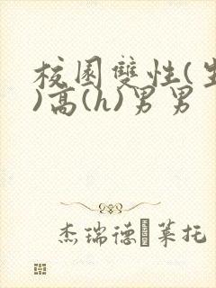 校园双性(生子)高(h)男男封面