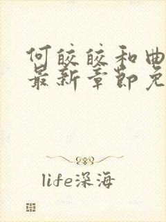 何皎皎和曲东黎最新章节免费阅读