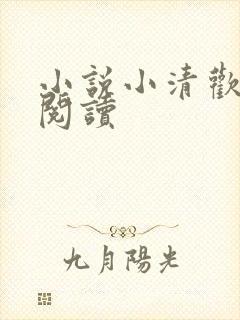 小说小清欢在线阅读
