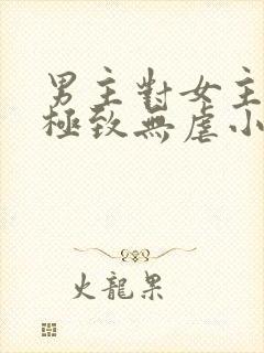 男主对女主宠到极致无虐小说封面