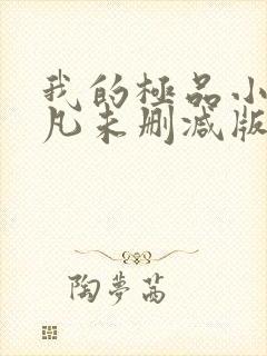 我的极品小姨叶凡未删减版封面