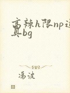 高辣h限np道具bg
