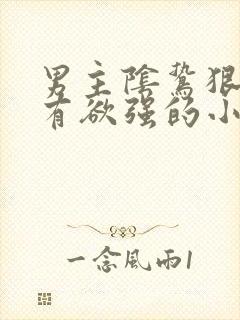 男主阴鸷狠戾占有欲强的小说