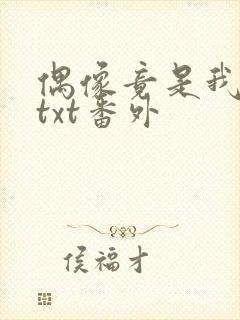 偶像竟是我老板txt番外