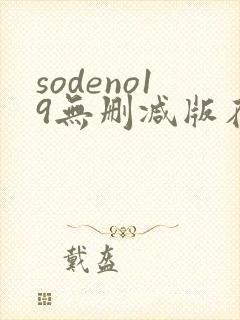 sodeno19无删减版在线播放