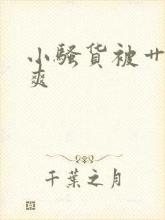 小骚货被艹的好爽