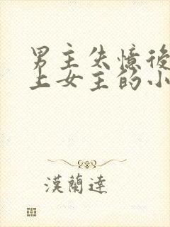 男主失忆后又爱上女主的小说