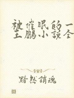 被催眠的一家人王鹏小说全文阅读无封面