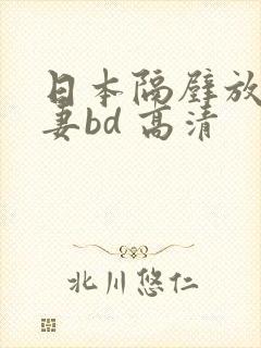日本隔壁放荡人妻bd 高清封面