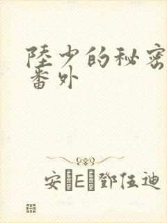 陆少的秘密恋人番外封面