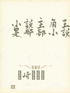 小说主角王斌 是哪部小说