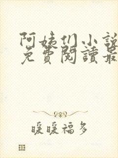 阿姨们小说全文免费阅读最新章节