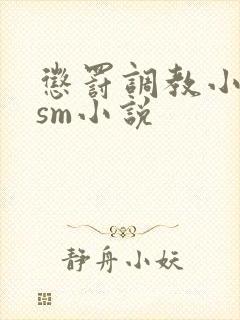 惩罚调教小母狗sm小说