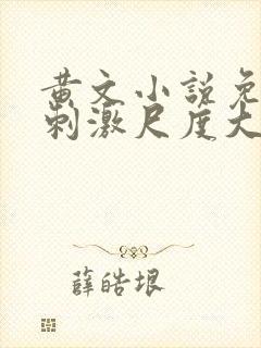 黄文小说免费肉刺激尺度大封面