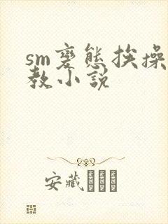 sm变态挨操调教小说