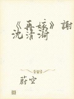 《再嫁》谢臣宁沈清漪