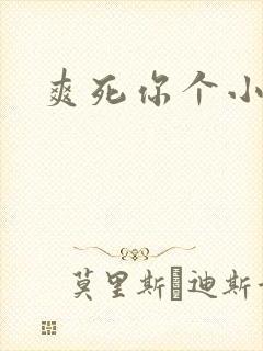 爽死你个小淫妇