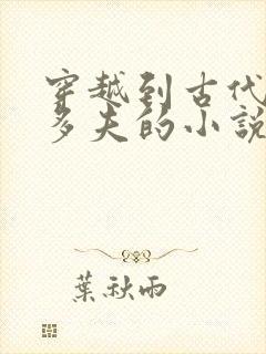 穿越到古代一女多夫的小说